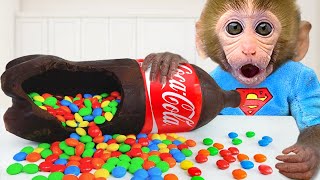 Monkey Baby Bon Bon eat coca cola chocolate candy and Harvest watermelon with ducklings on the farm
