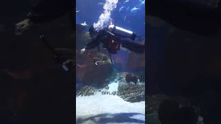 Download lagu RCTI OKE HAHA mp3