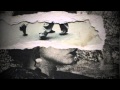 DulceSky - I Dreamt Of You (lyrics) 