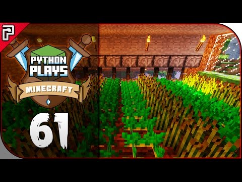Auto Crop Farm With Item Filter! | Minecraft 1.11 PC | Python Plays Minecraft Survival [S2 - #61]