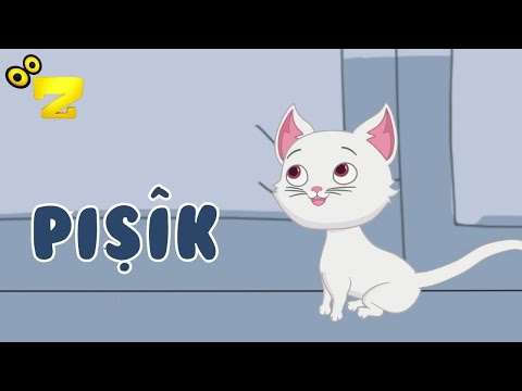 Zarok TV - 🎵 PIŞÎK 🎵