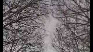 Sigur Rós - Svo Hljótt