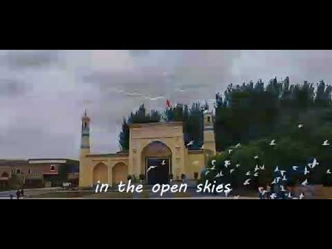 China's genocide in East Turkistan! #Uyghur