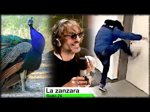 Un napoletano da giardino per il Rider bolognese - La Zanzara 25.3.2021