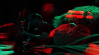 ride my llama live - high flying bird halloween video