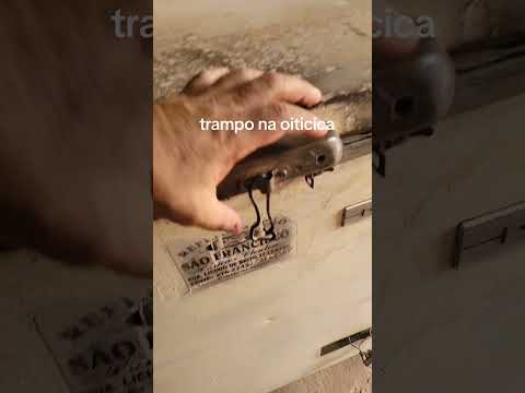 trampo na oiticica  Brasileira Pi