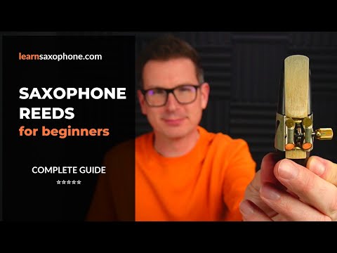 Best saxophone reeds for beginners in 2024 [Complete Guide]