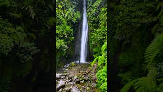 Download lagu Keindahan Alam di Kebun Raya Cibodas mp3