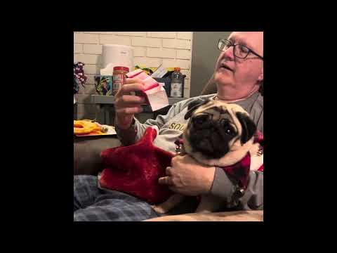 Lilibeth Christmas 2024