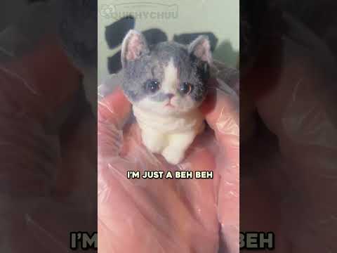 I'm just a beh beh 🥺💔😭 SQUISHYCHUU.COM