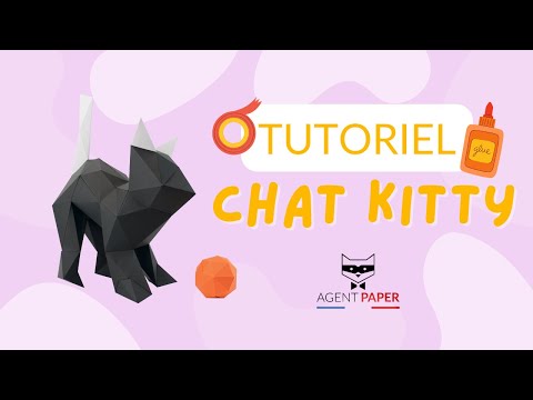 Chat Kitty - vidéo de présentation