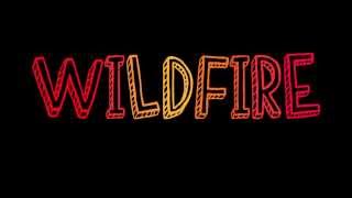 Wildfire - John Mayer LYRICS On Screen 2013