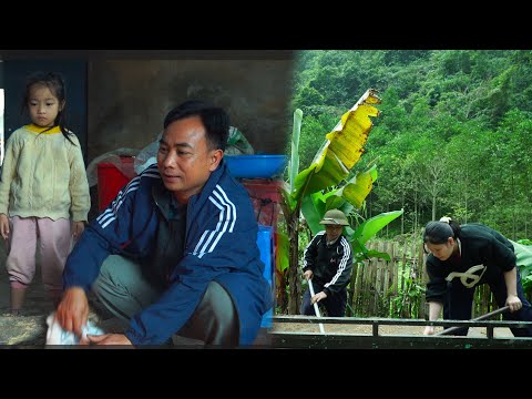 Uncle Chúc and Kim Ngân rescued a pigeon that had fallen into a water pit and helped Yến fetch sand.