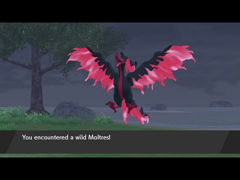 Galarian Articuno Zapdos and Moltres Pokemon Sword And Shield The Crown Tundra DLC
