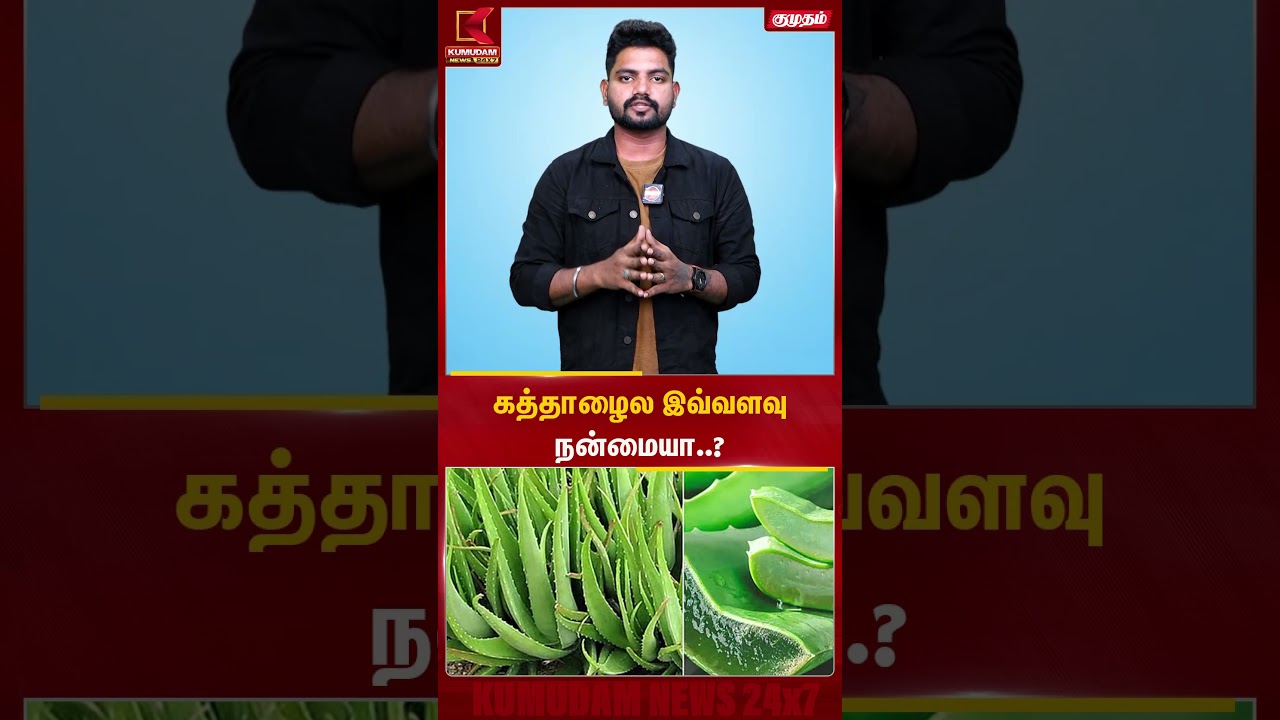 கத்தாழைல இவ்ளோ நன்மையை..? | Aloevera | Kumudam news  | Kumudam News