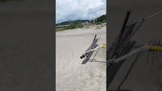 TikTok trending short 2019