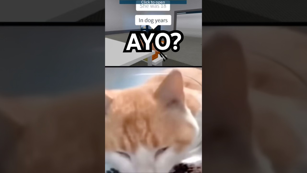 I’m just kidding, unless…