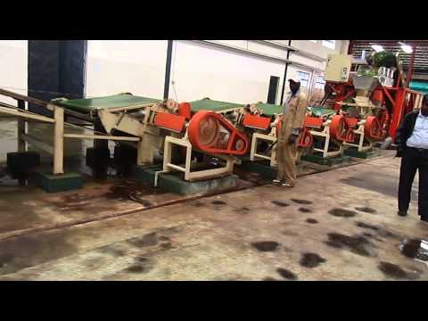 Complete CTC Tea Processing Line (Commisioned)