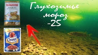 Яичная скорлупа как прикормка для рыбы