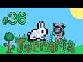 Terraria v1.2.1 - #36 (Хардмод) - Тыквенная луна с Ворчуном 