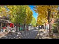 Seoul Autumn Leaves In Samcheong Dong Street Walking Tour Korea 4K HDR
