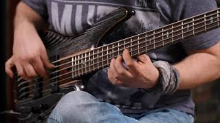 Video thumbnail for Ibanez SR1305SB MGL - solo bass by Gregor Fris