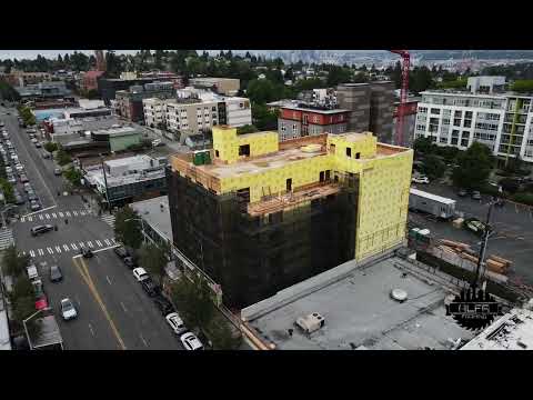 ALFA Framing - Summer 2023