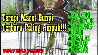 Download lagu Terapi Pleci Bukpar dan macet bunyi terbaru 100% nyauttt!!!! mp3