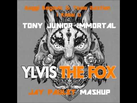The Immortal Fox (Jay Paulet Mashup)