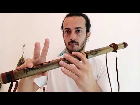 Teste Flauta Shiva E