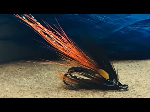 Tying a salmon fly, Eany Tailfire Dark version