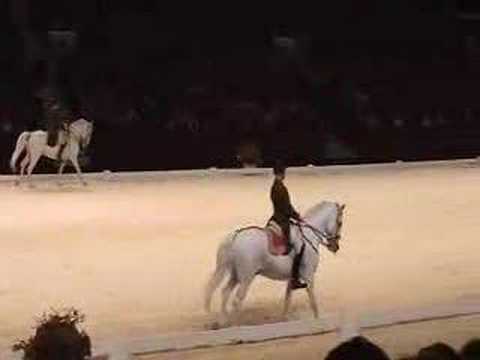 Pas de Deux - Dressage horses - Classical riding
