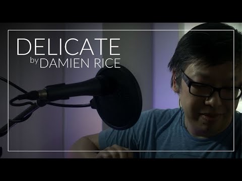 Delicate by Damien Rice (Cover)