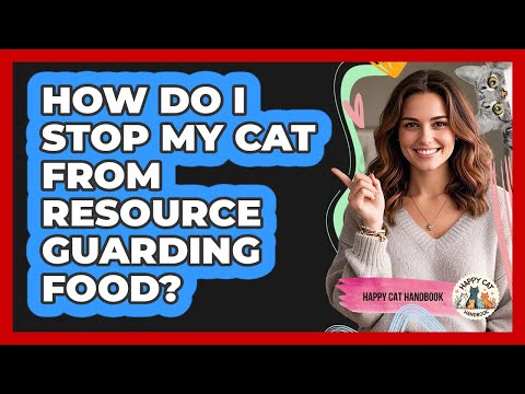 How Do I Stop My Cat From Resource Guarding Food? - Happy Cat Handbook