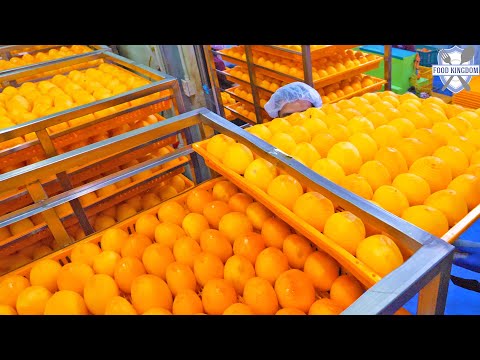 1 million produced! korean sweet snack dried persimmon mass production