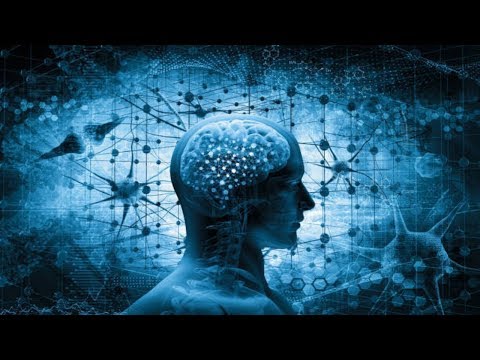 The Human Brain Explained | Neuroscience Full Documentary