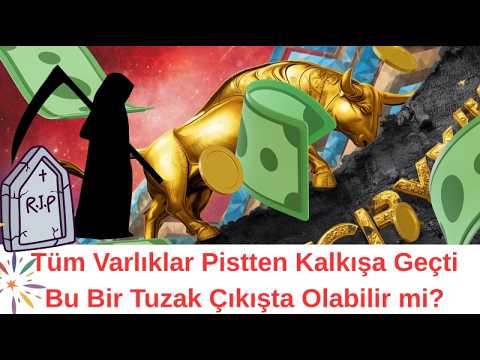 Cihat E Cicek