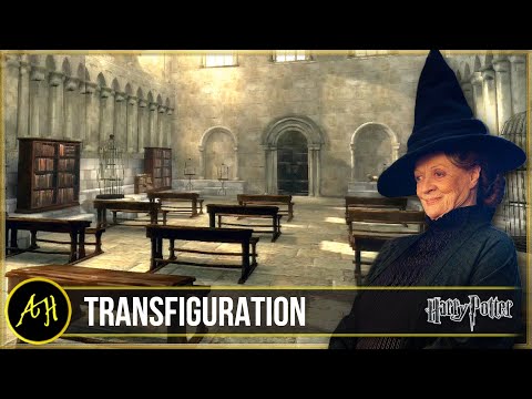 ⚡️ Harry Potter ASMR ⚡️ Transfiguration Classroom - [HD Animation & Ambience]