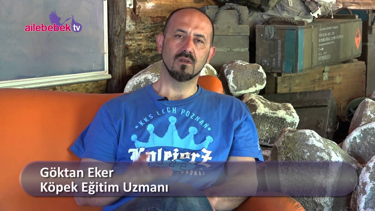 Köpek bakımı için fazla zaman ayırmak gerekir mi?