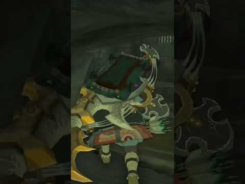 How to get fierce deity armor #tearsofthekingdom #breathofthewild #legendofzelda #tutorial #gaming