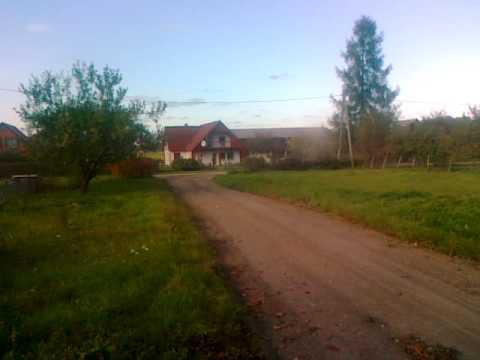 drift Mārsnēni "Zīlītes"