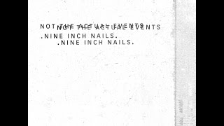 Nine Inch Nails - Branches / Bones