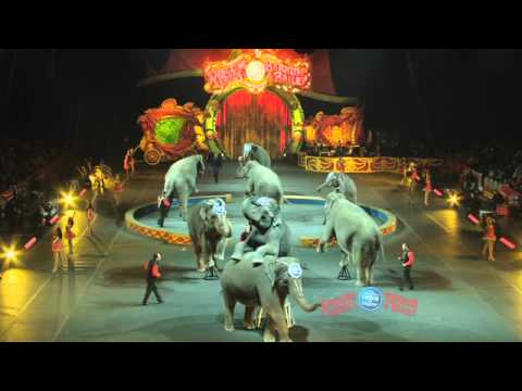 The Circus Makes Its Way to Honda Center