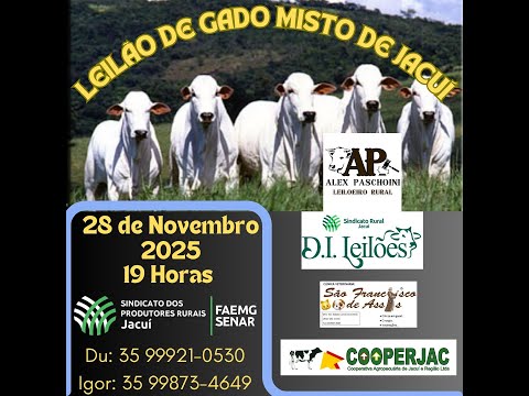 LEILÃO DE GADO SINDICATO DE JACUÍ. MG