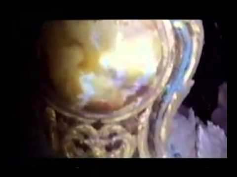 download lagu mp3 mp4 Titanic Strauss Suite, download lagu Titanic Strauss Suite gratis, unduh video klip Titanic Strauss Suite