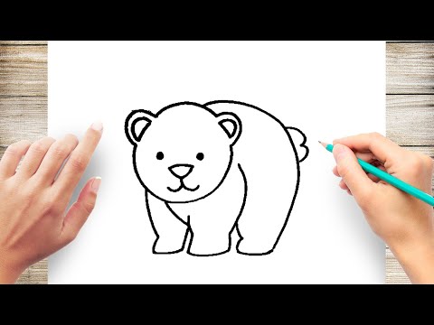How to Cute Draw a Bear Step by Step for Beginner #Bear ...