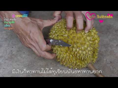 ตะเข็บรากฟันเทียมภายใต้หน้าอก การผ่าตัดเต้านม 1-3