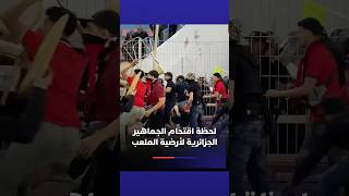 لحظة اقتحام الجماهير الجزائرية لأرضية الملعب thumbnail