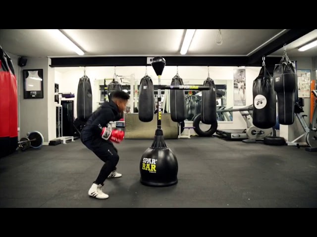قاعدة ملاكمة مع بار الملاكمة وكرة الملاكمة Boxing Reflex Bar