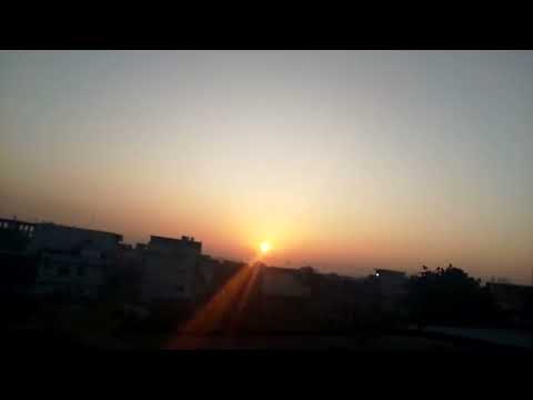 Zahida Abbasi.  Beauty Of. Nature   Cats.  Animal